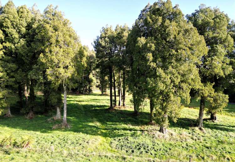 171 Coulson Road Paroa_33