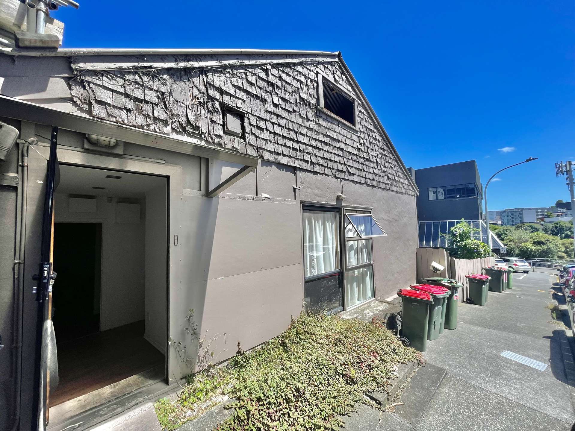 11 Karaka Street Eden Terrace_0