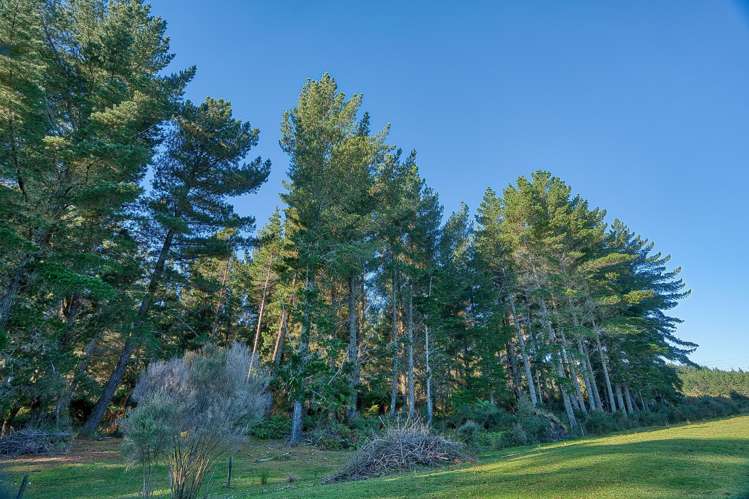 89 Russell Road Kaniere_25