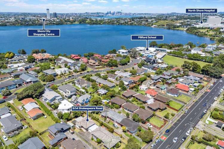 3/14 Shakespeare Road Milford_13