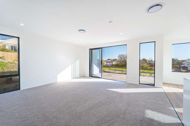 9 Mahara Place Maori Hill_22