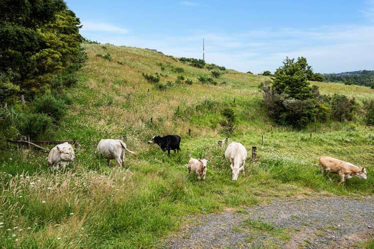 35A Valley Road Hikurangi_20