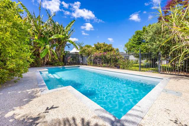 174 Nixon Street Hamilton East_1