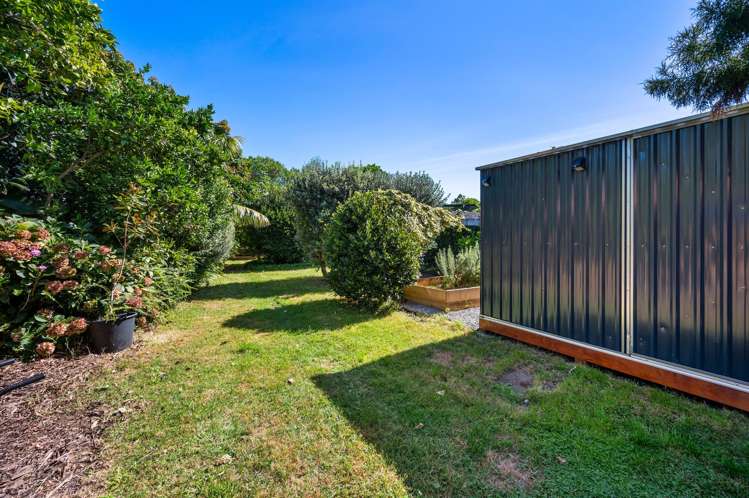 6 Hall Street Napier South_22