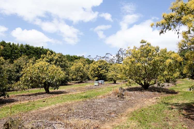 Lot 1 Mangakahia Road Maungatapere_12