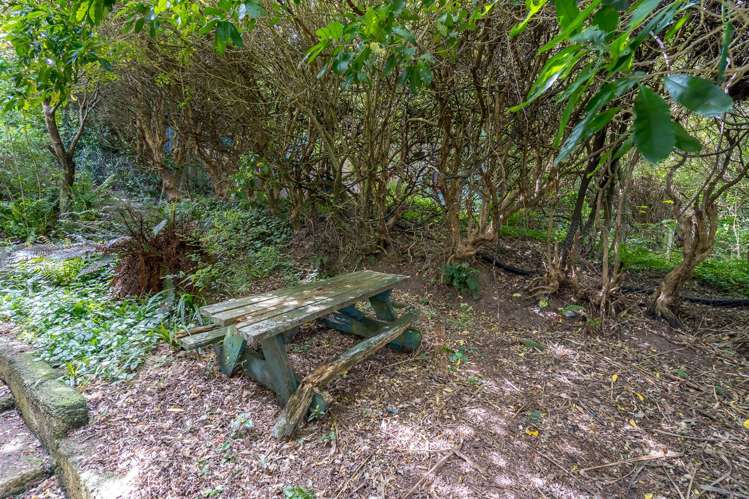 89 Buccleugh Street North East Valley_20