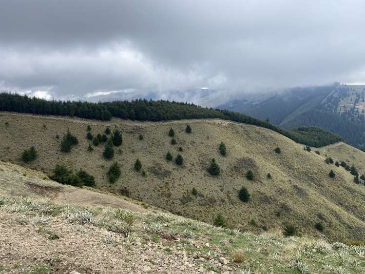 Te Moana Road Kakahu_2