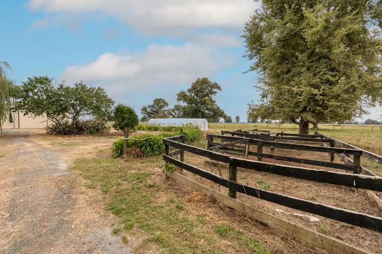 308 Mill Road Ohaupo_24