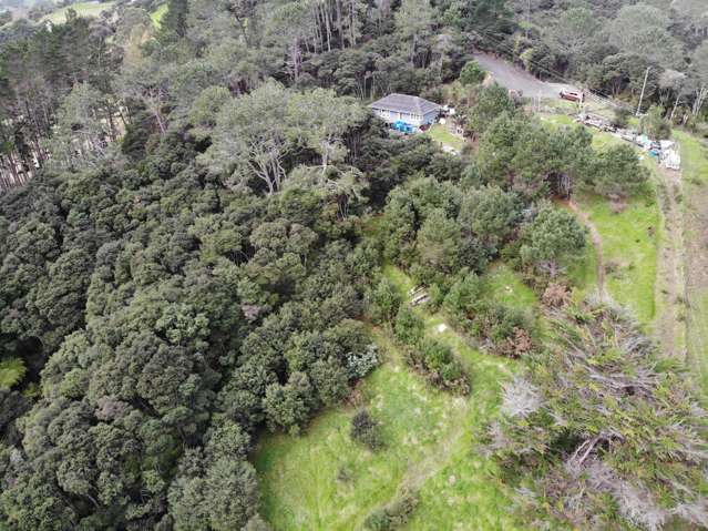 Sheffield Road Helensville_2