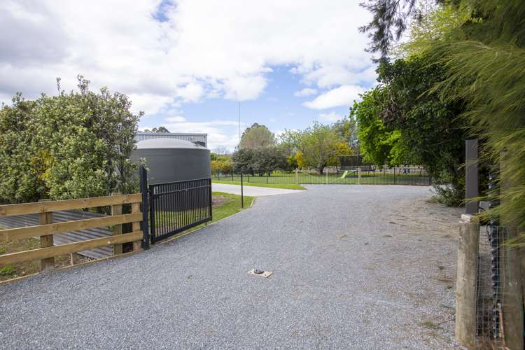 312 King Road Makauri_2