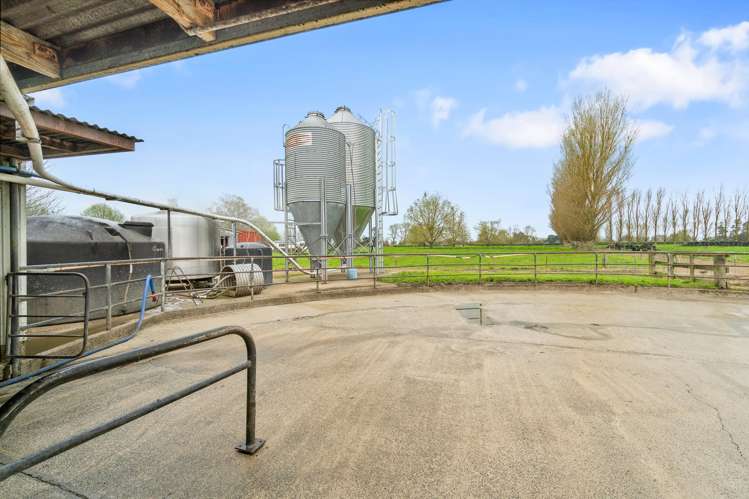 63 Harbottle Road Morrinsville_7