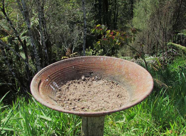 1712 State Highway 7 Moana / Lake Brunner_32