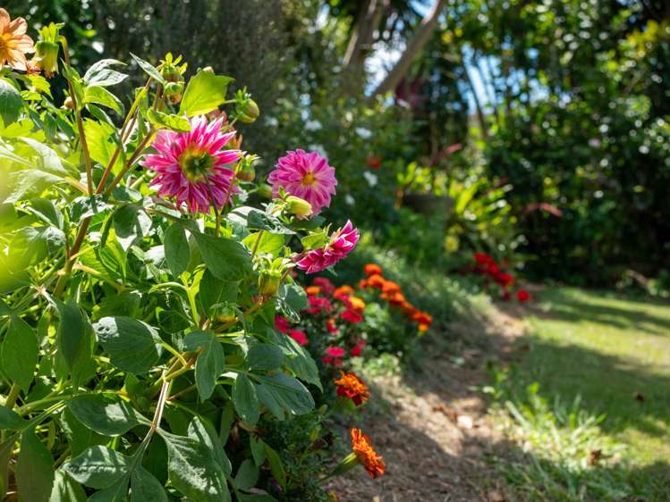 2 Newton  Watts Drive Kerikeri_11