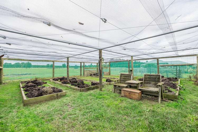 161 Mckays Road West Melton_29