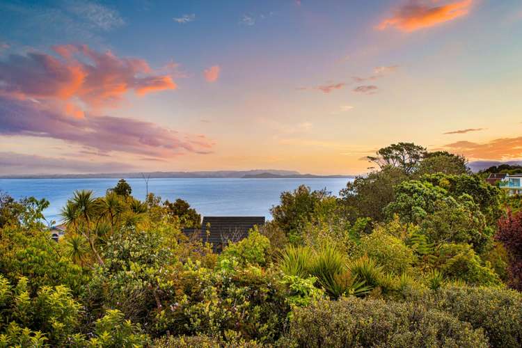 115A Halsey Drive Lynfield_4