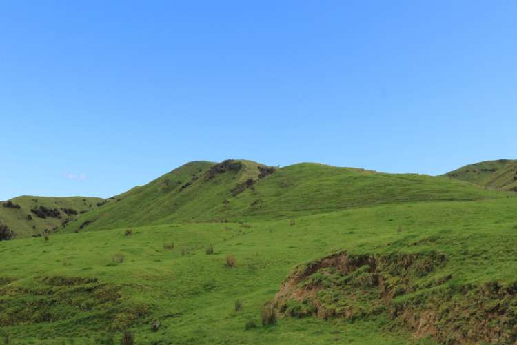 297 Kaitawa Road Pahiatua_5