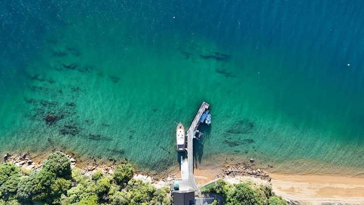 Blackwood Bay Queen Charlotte Sound_28