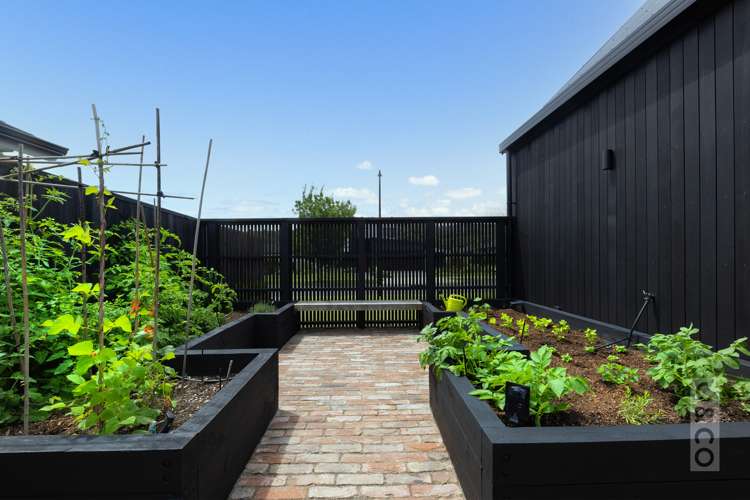 1 Len Ireland Drive Kumeu_15