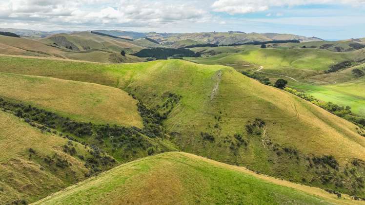 2 Cotswold Road Omihi_2