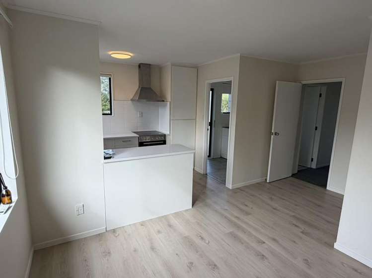 27H Rehia Road Massey_5