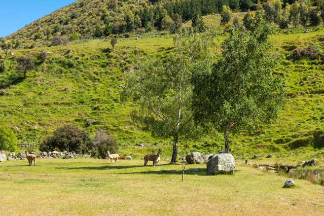 1067 Taylor Pass Road Blenheim_4