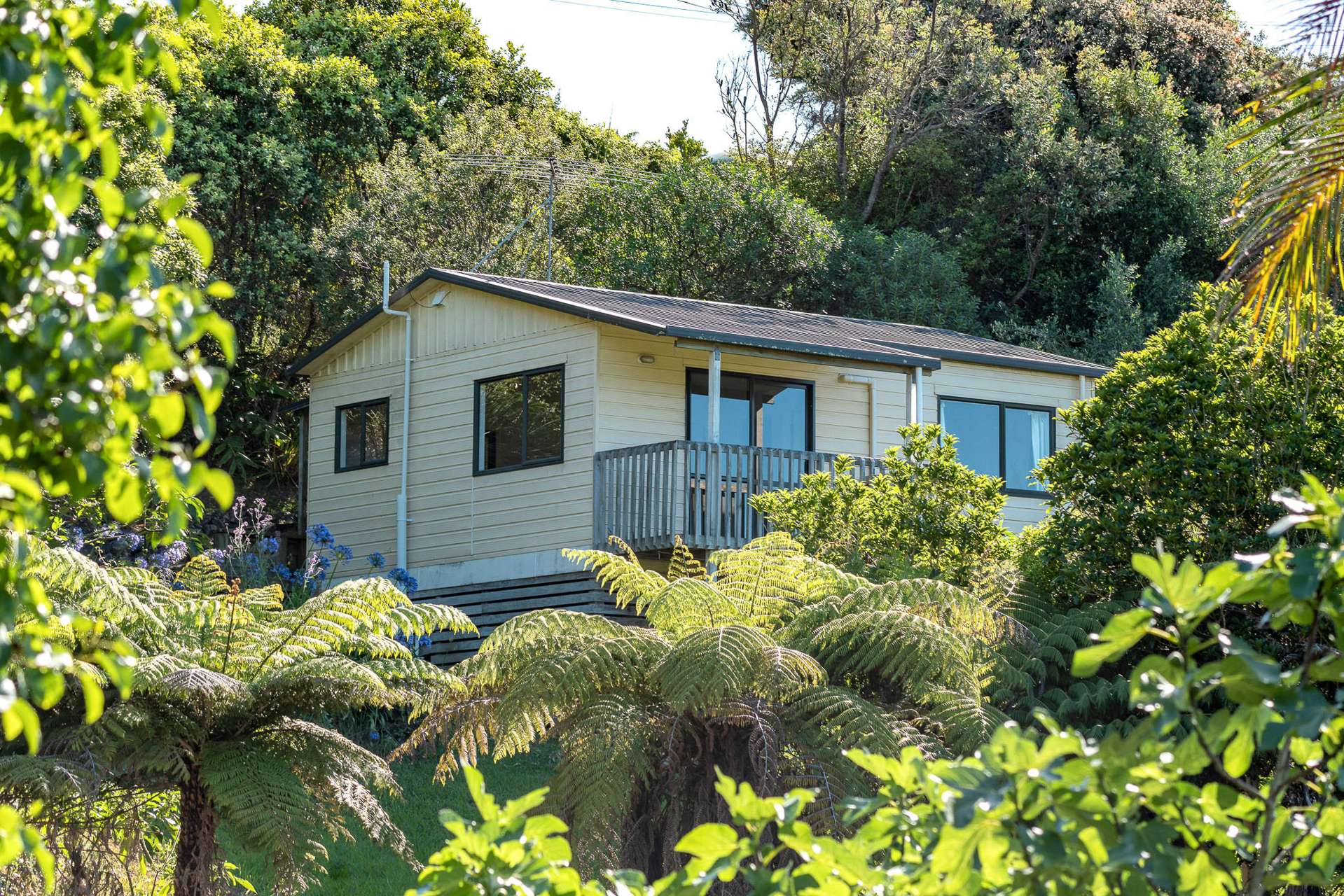 43 Trig Hill Road Onetangi_0