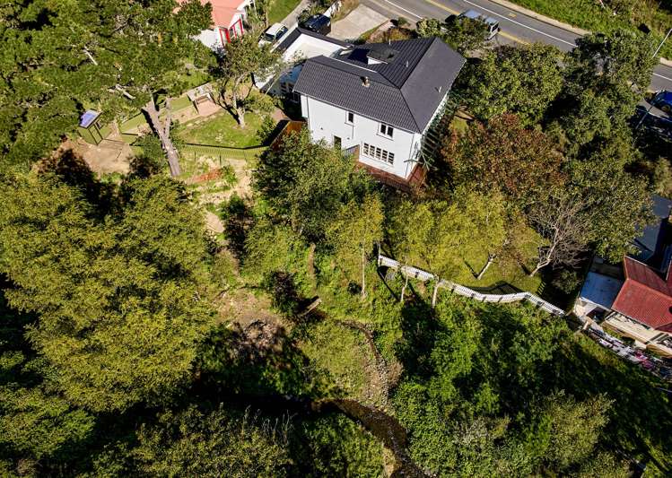 202 Happy Valley Road Owhiro Bay_20