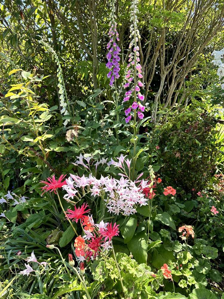 641 Thornton Road Thornton_40