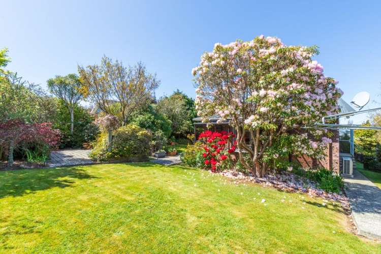 12 Edith Street Fairfield_8