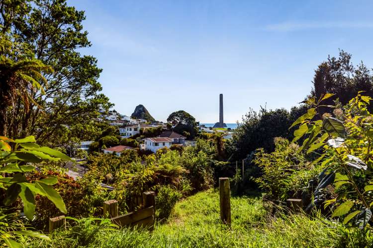 65 Pioneer Road Moturoa_23