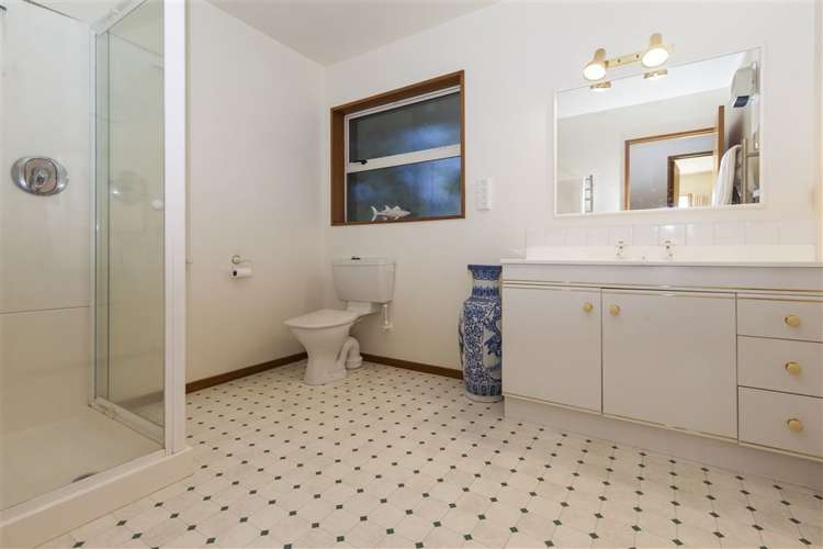 213 Mandeville Road Swannanoa_19