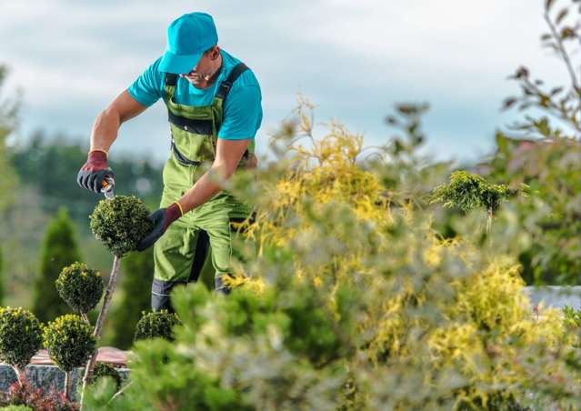 Address withheld Christchurch Surrounds_2