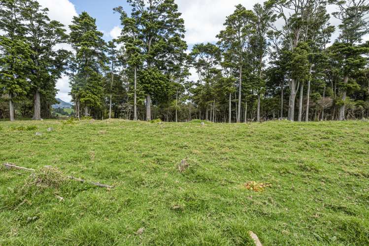 2006a State Highway 1 Whakapara_19