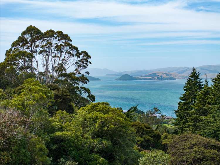 30 Ruru Avenue St Leonards_18