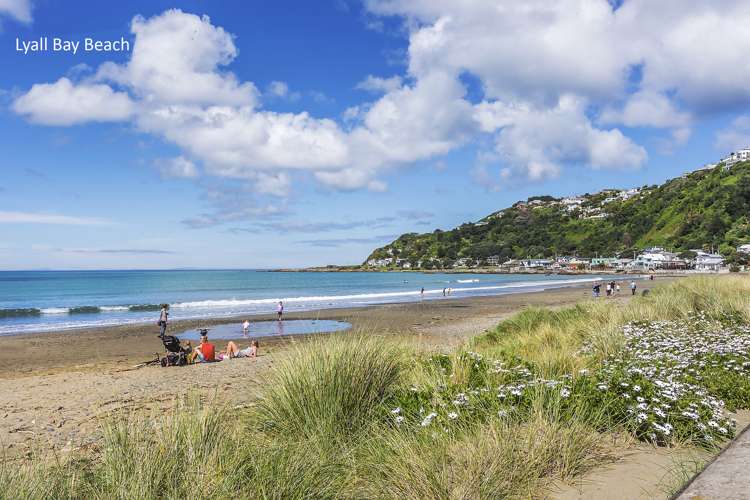 118 Lyall Parade Lyall Bay_14