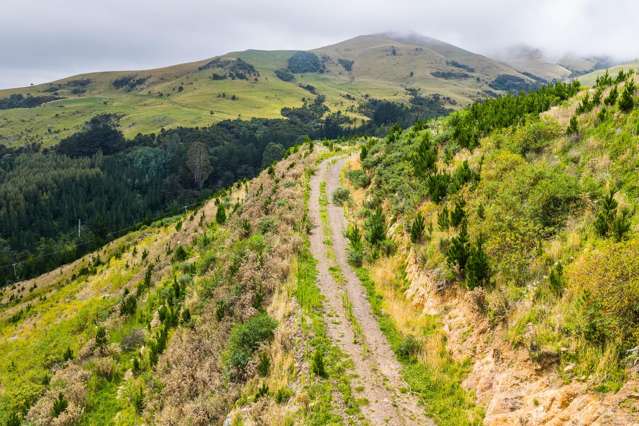 226 Middle Road Pigeon Bay_4