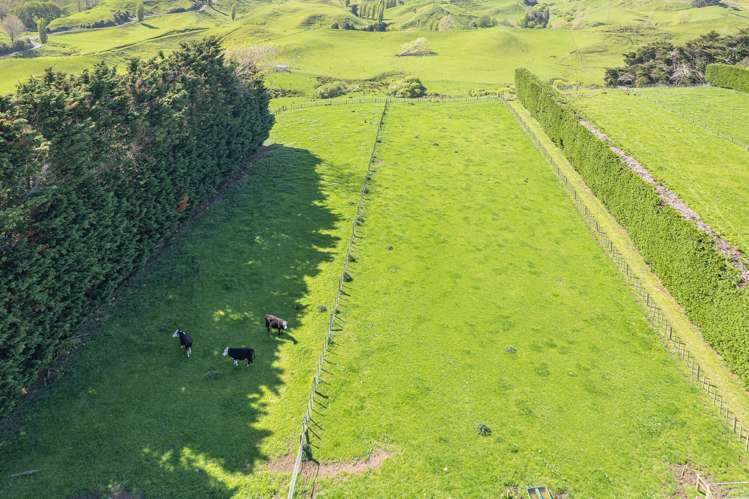 78a Lilybank Road Brunswick_11