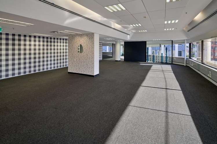 8 Gilmer Terrace Wellington Central_10