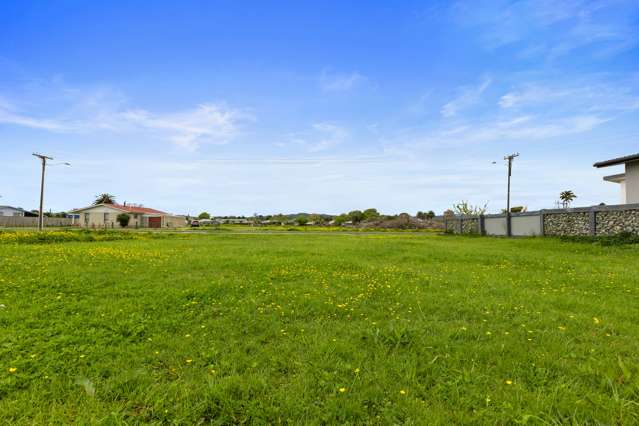 47 Buchanan Street Opotiki and Surrounds_3