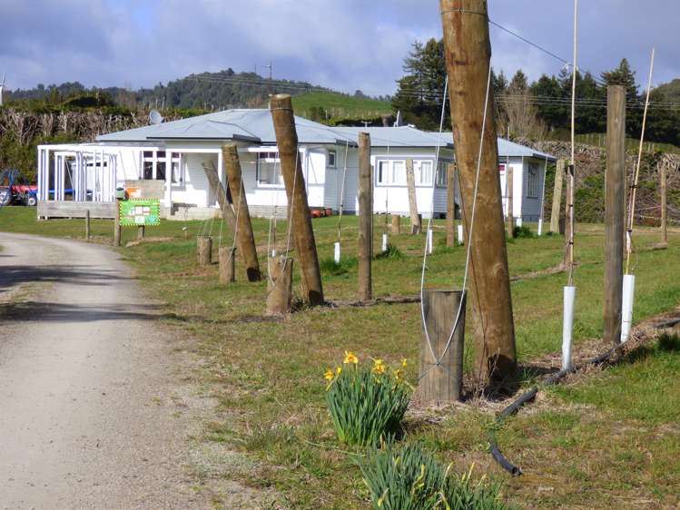 1335a No 3 Road Te Puke_2