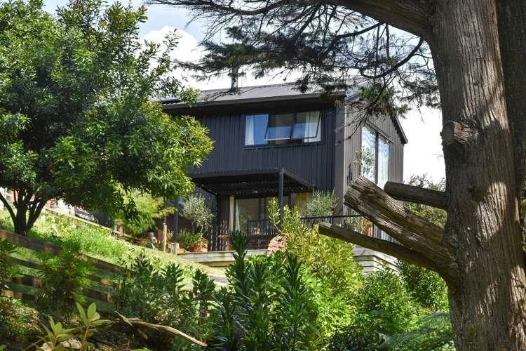 50 Holcombrooke Lane Welcome Bay_10