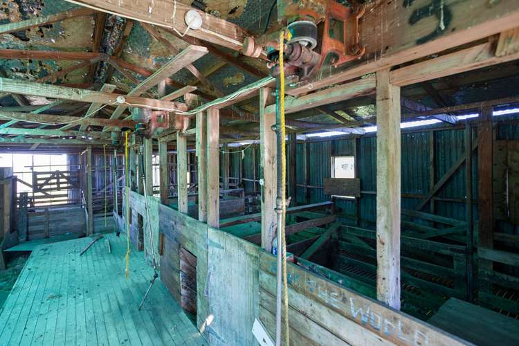 3848 Galatea Road Murupara Surrounds_18