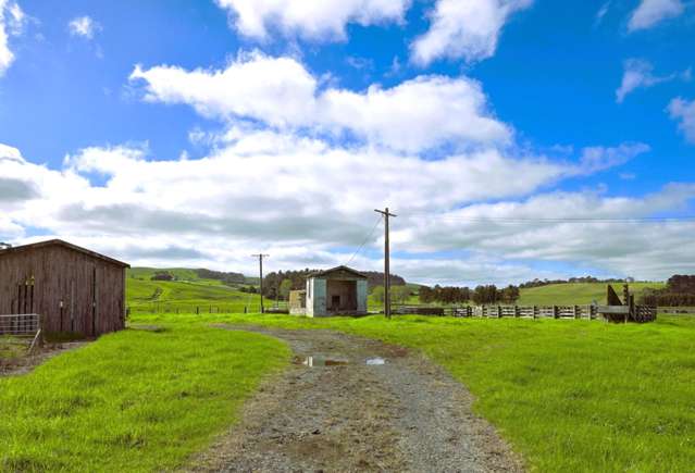 6320 State Highway 12 Dargaville_2