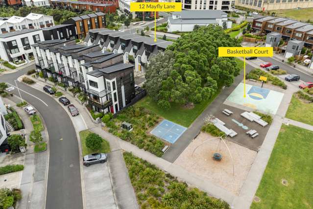 12 Mayfly Lane Hobsonville_1