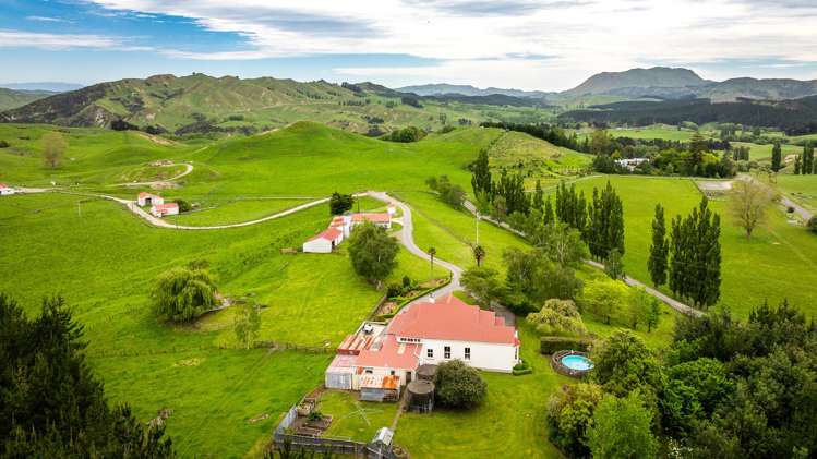 2266 Kahuranaki Road Elsthorpe_5