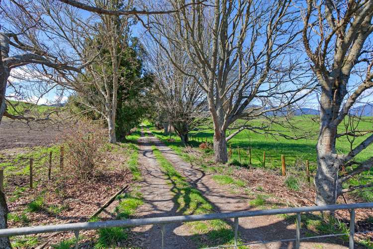 3848 Galatea Road Murupara Surrounds_7