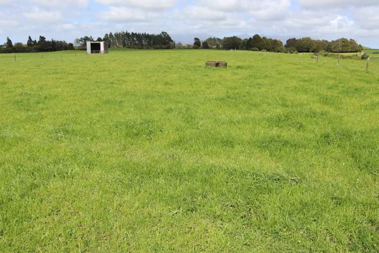 828 Hursthouse Road Inglewood_10