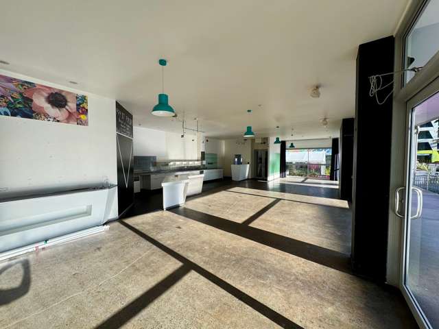 17 Brougham Street New Plymouth_1