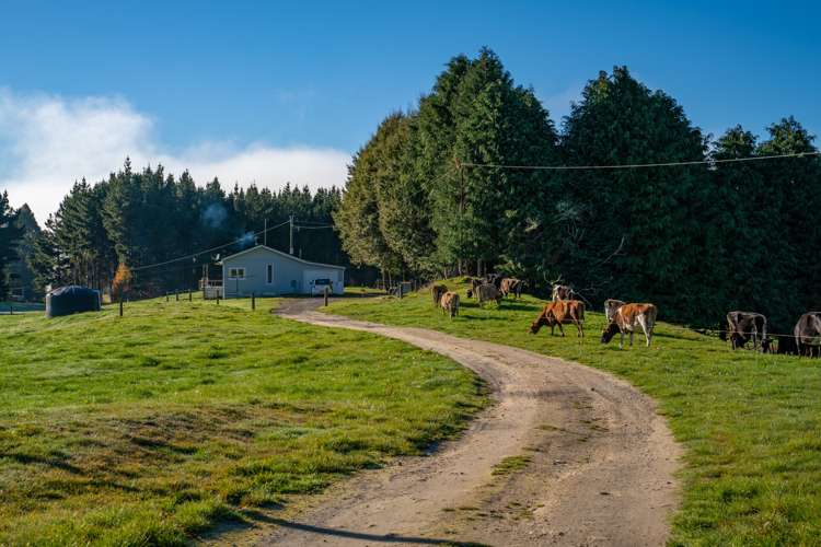 2709 State Highway 41 Kuratau_9