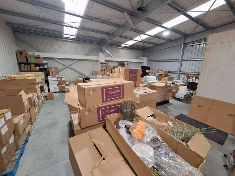 1B Sunley Street Westown_4